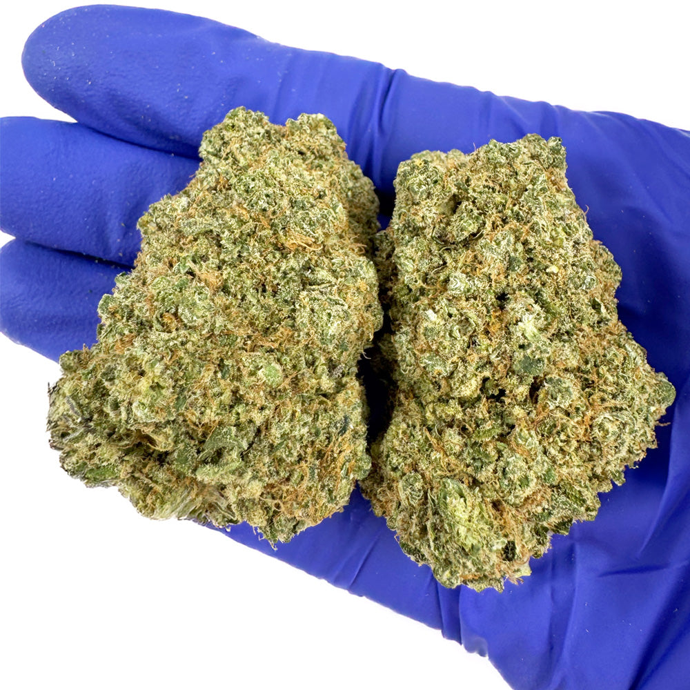 Prix du CBD au kilo : le guide complet pour optimiser votre rentabilité