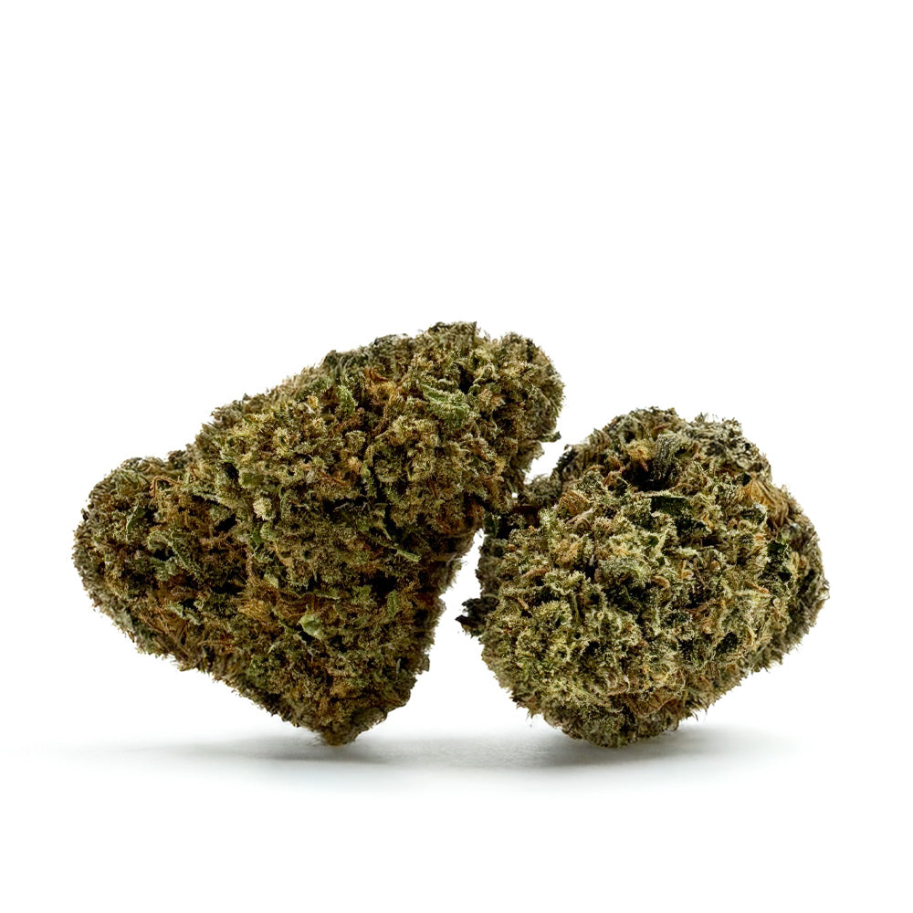 Cake Berry - Hybride US