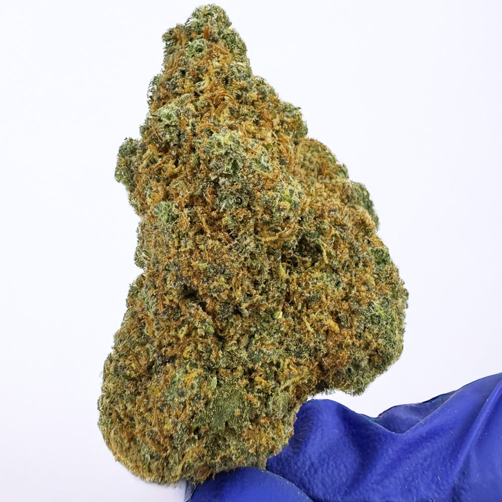 Cali Muffin - Hydroponique Cali