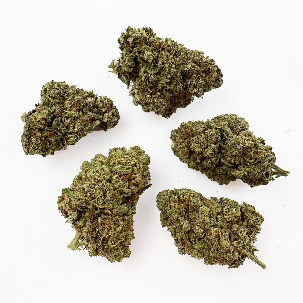 Dr. Grinspoon - Indoor Elite USA — photo 3
