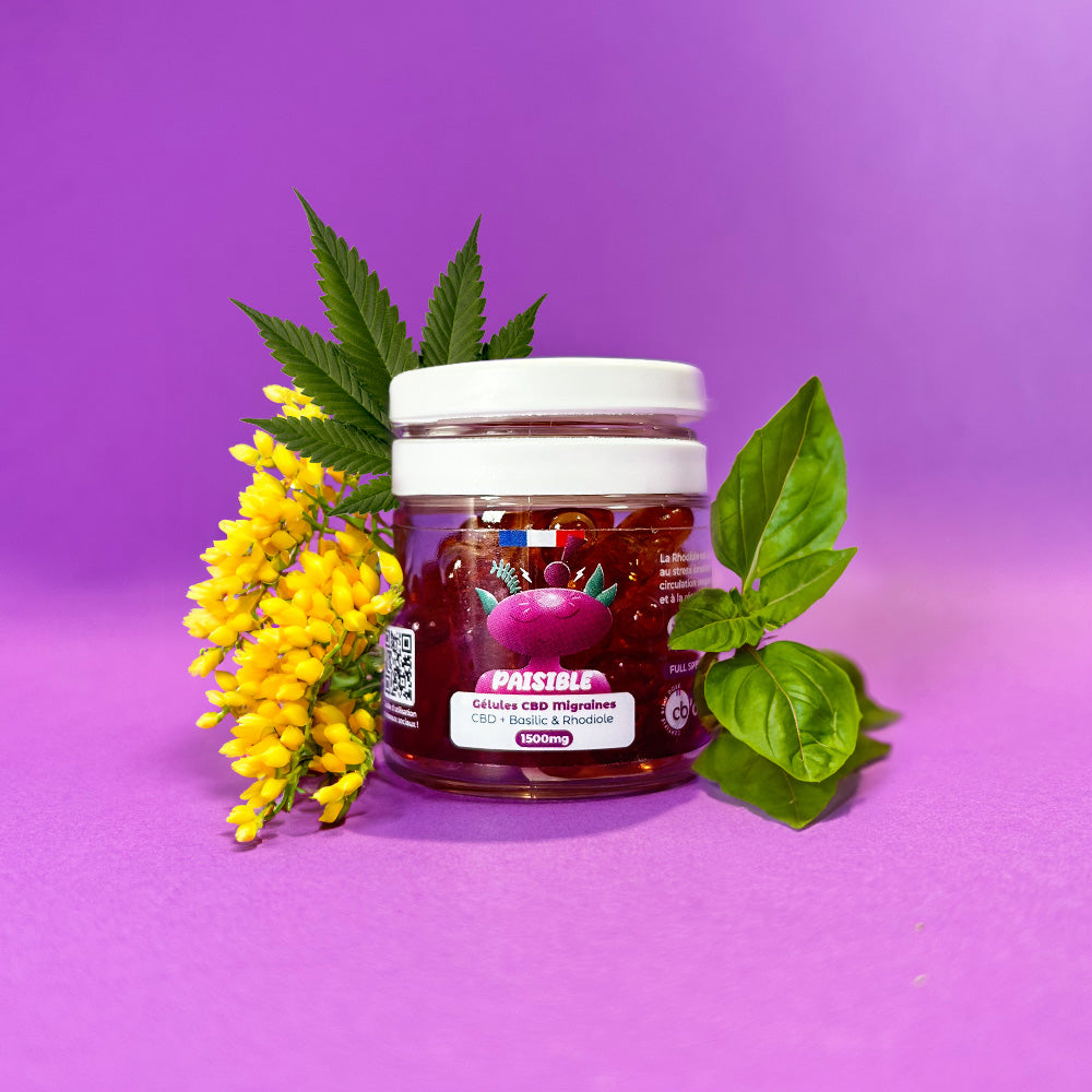 Gélules de CBD Migraines
