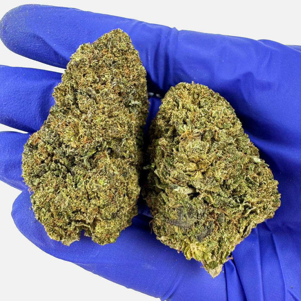 Royal OG - Hybride USA