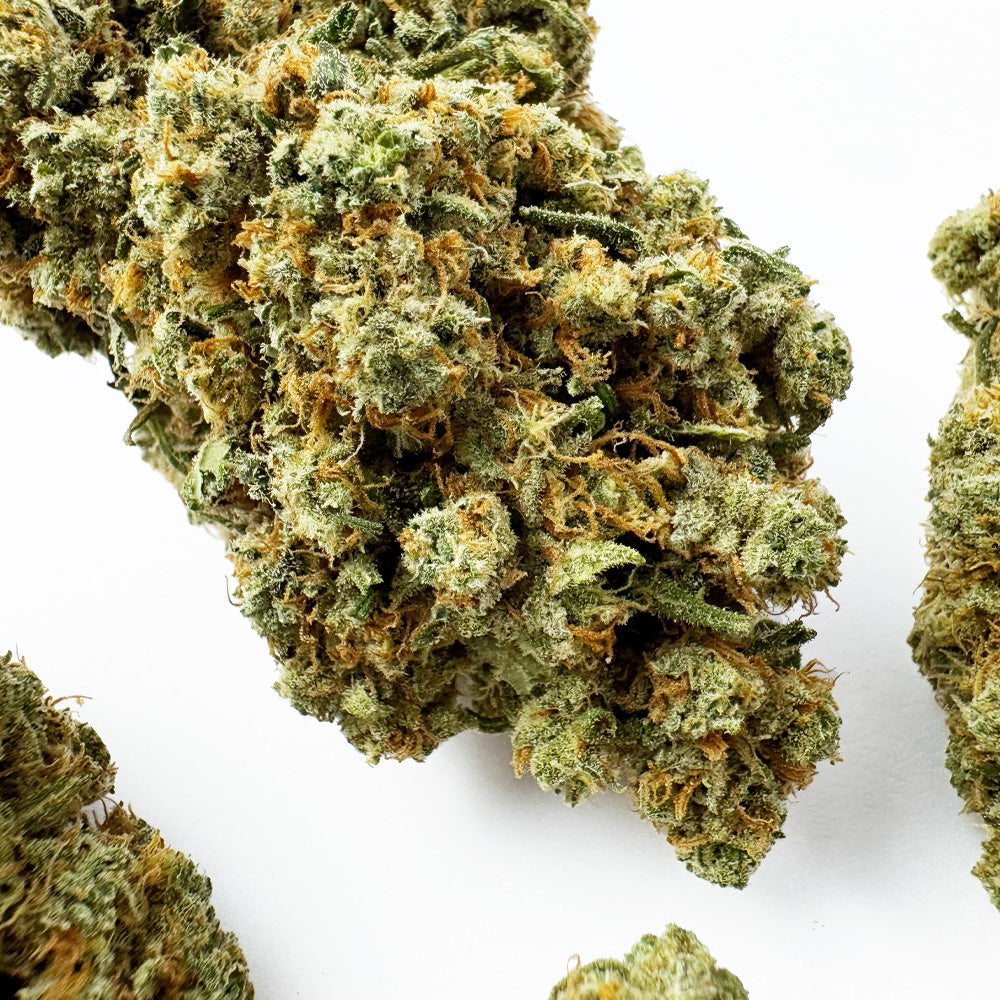 Amnesia JSH B1 CBD - Indoor — photo 4