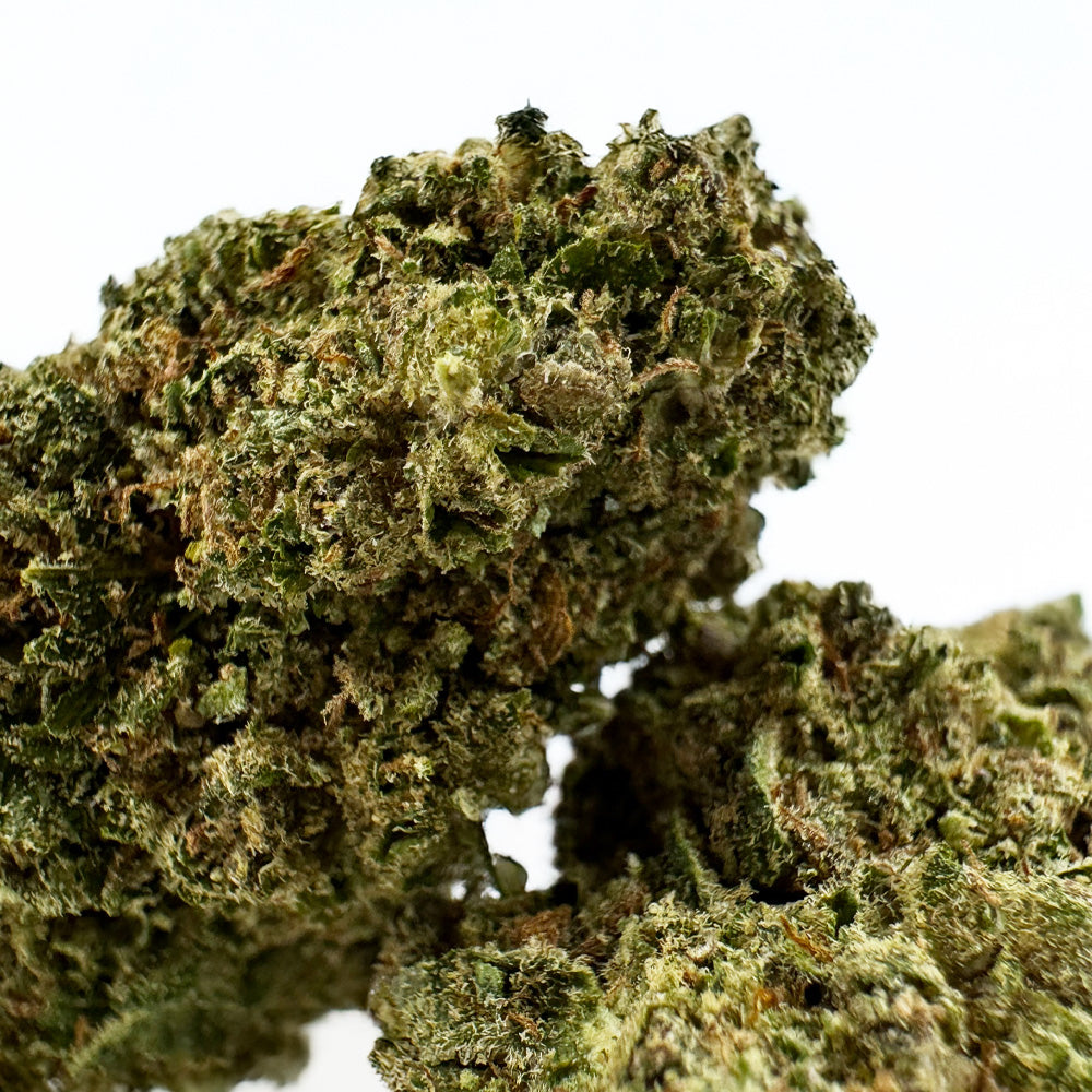 Apple Pie - Indoor