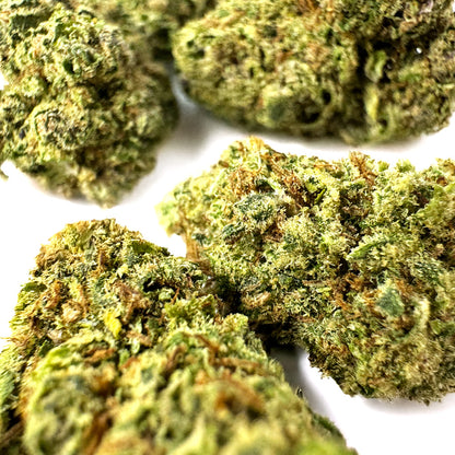 Small buds Apple Pie - Indoor