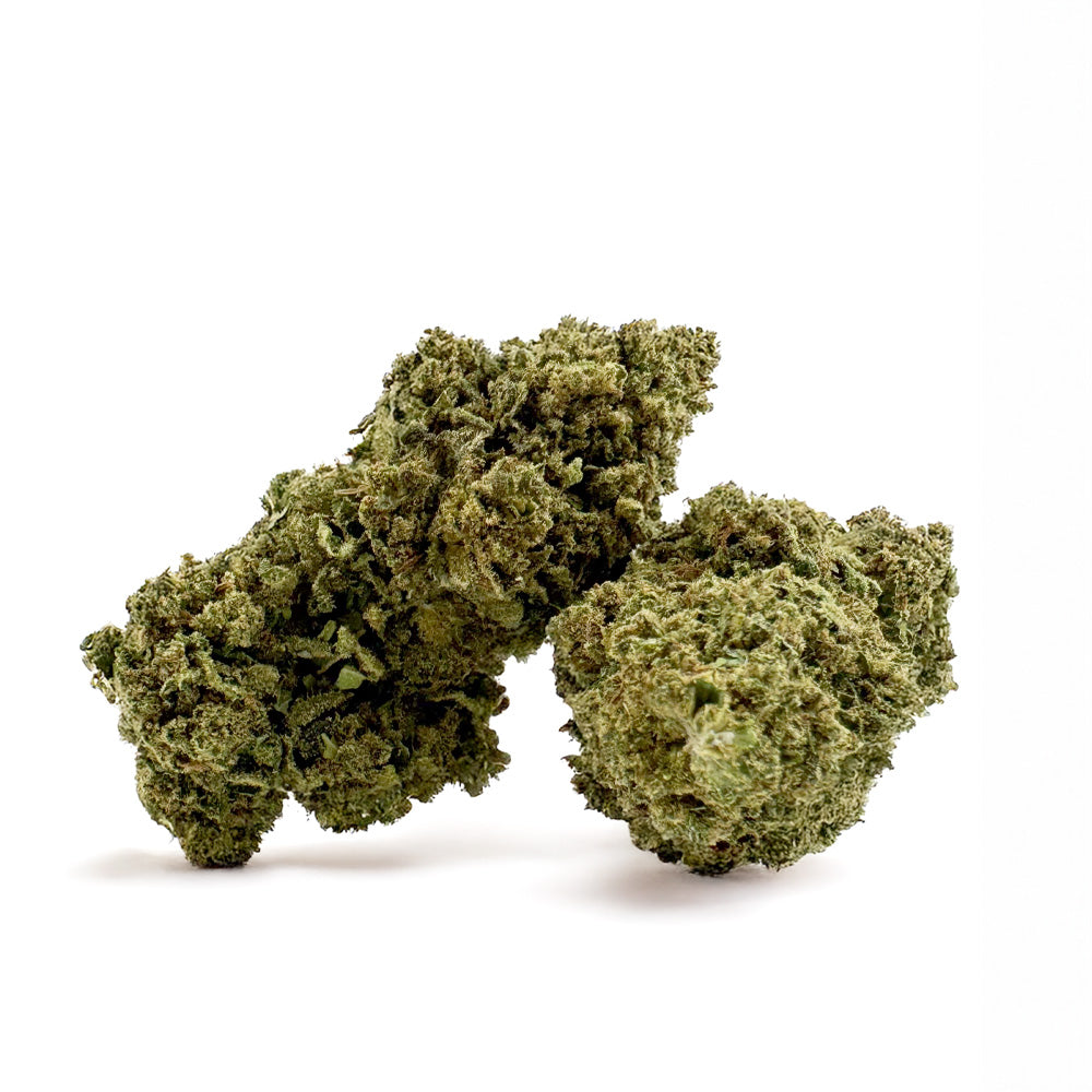 Biscotti - Glasshouse