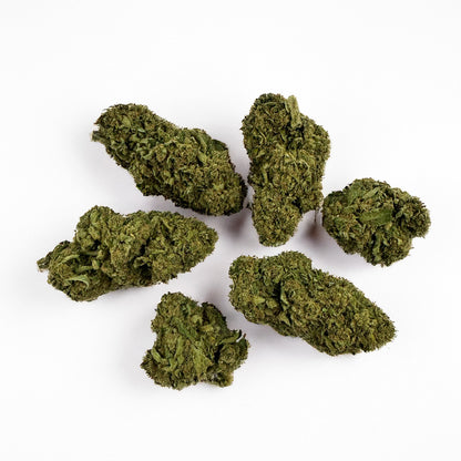 Biscotti - Glasshouse