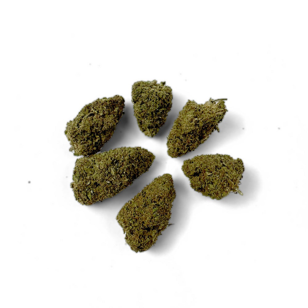 Chemdawg - Indoor USA