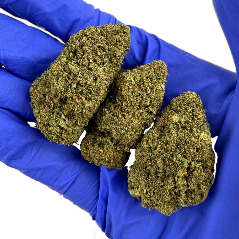 Chemdawg - Indoor USA