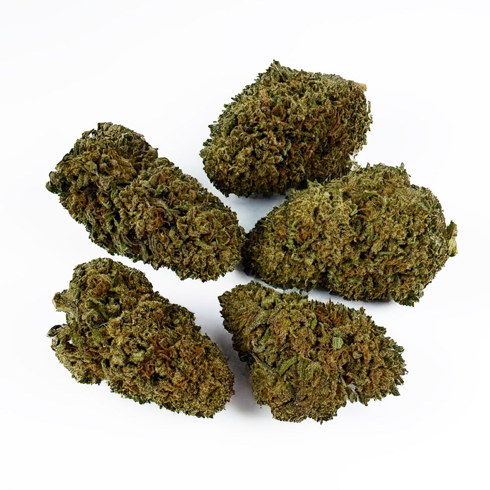 Cake Berry - Hybride US