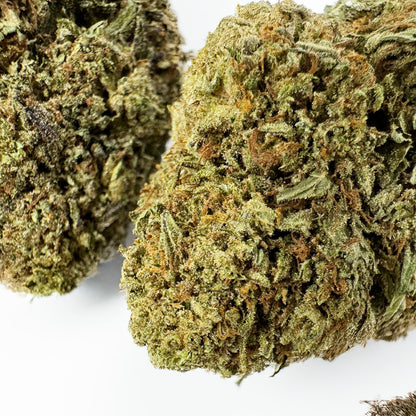 Critical - Hybride USA