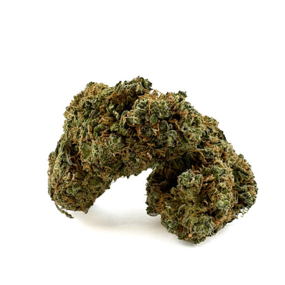 Blueberry Muffin CBD - Indoor — photo 1