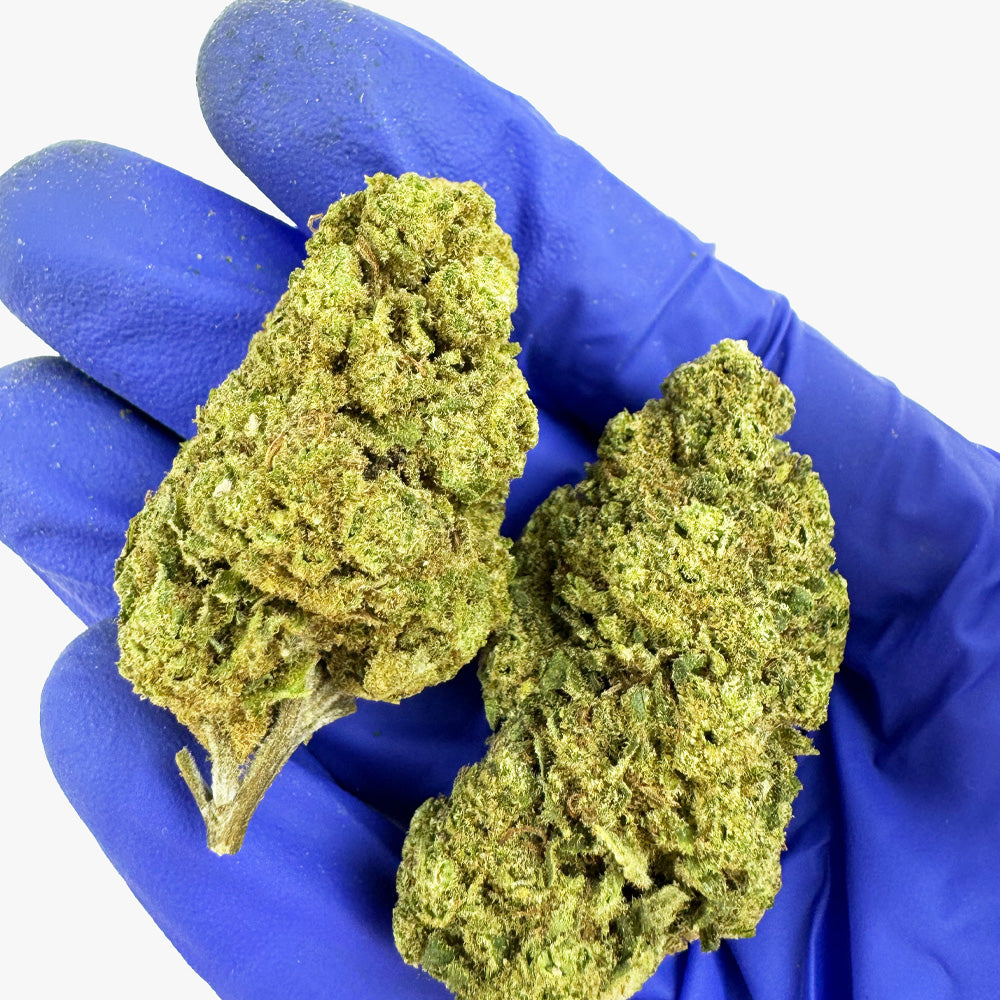 Gorilla Glue - Greenhouse