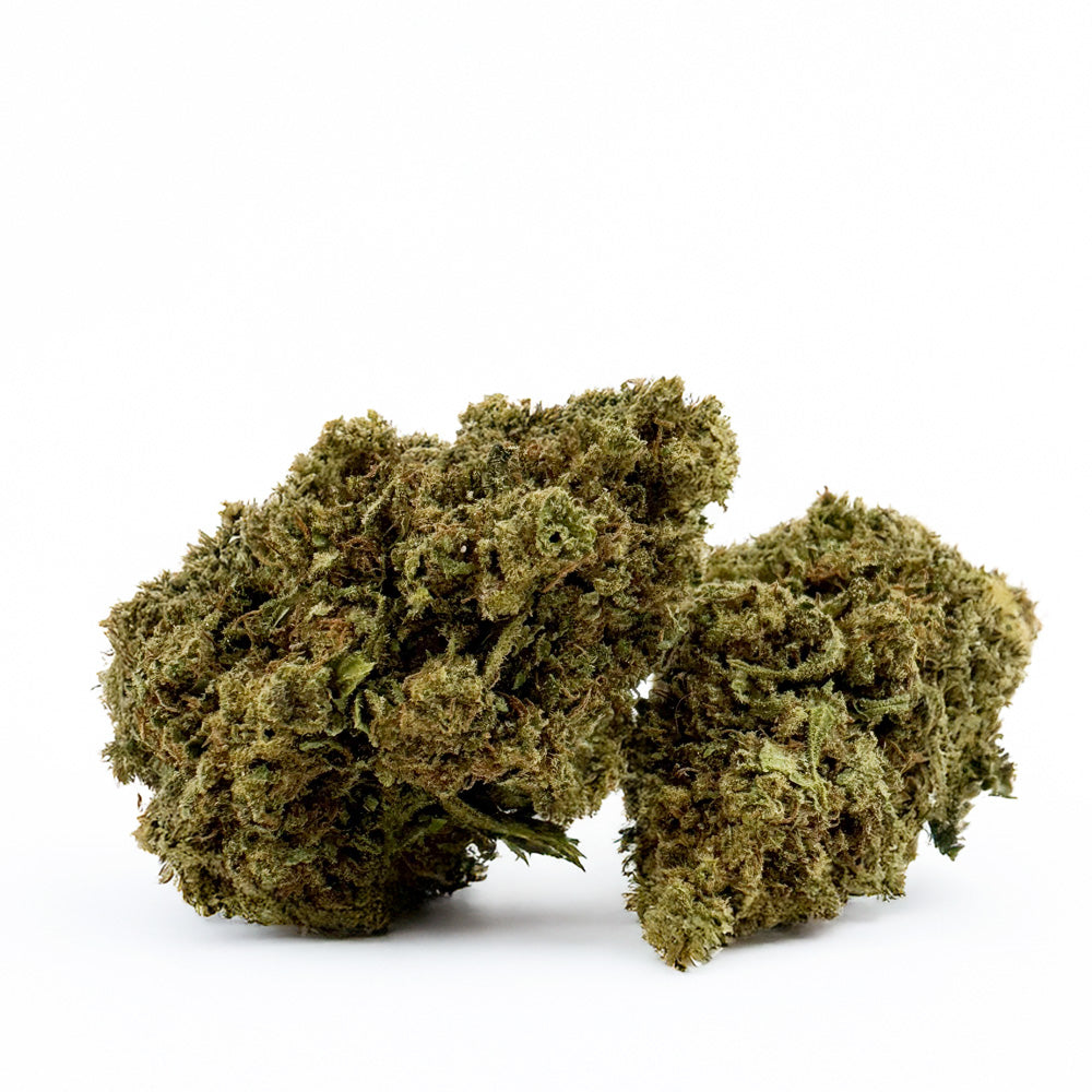 Harley Queen - Glasshouse