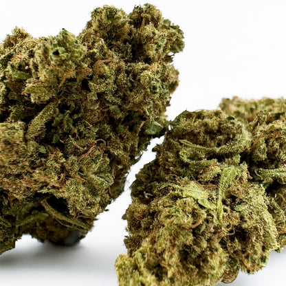 Harley Queen - Glasshouse