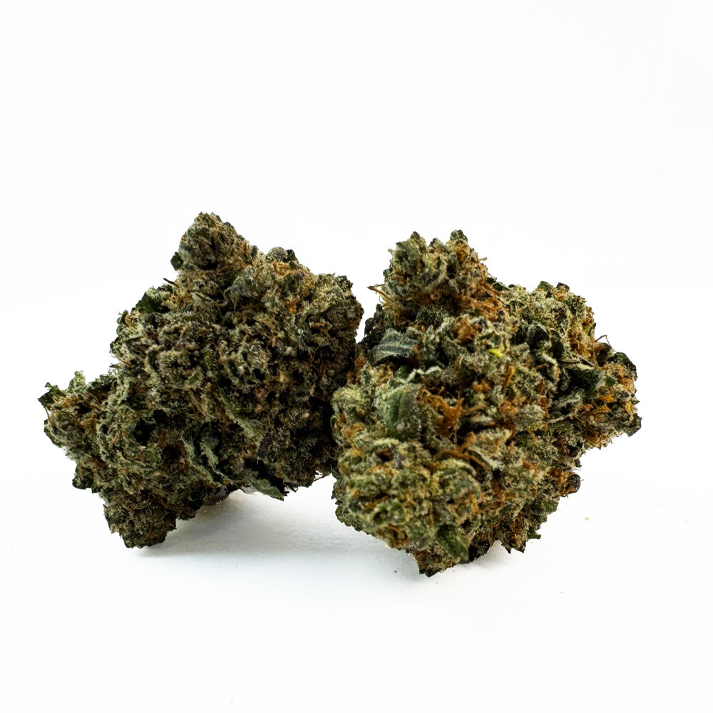 Kosher Kush - Indoor Elite USA — photo 1