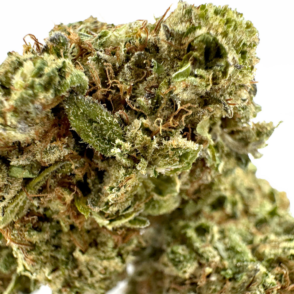 Malabar CBD - Indoor — photo 3