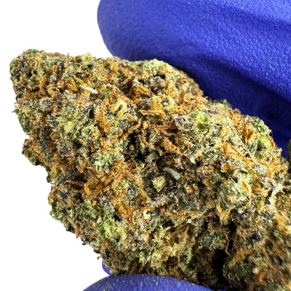 Purple Gaz CBD - Indoor