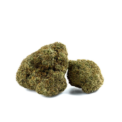 Rainbow X GP3 CBD - Indoor