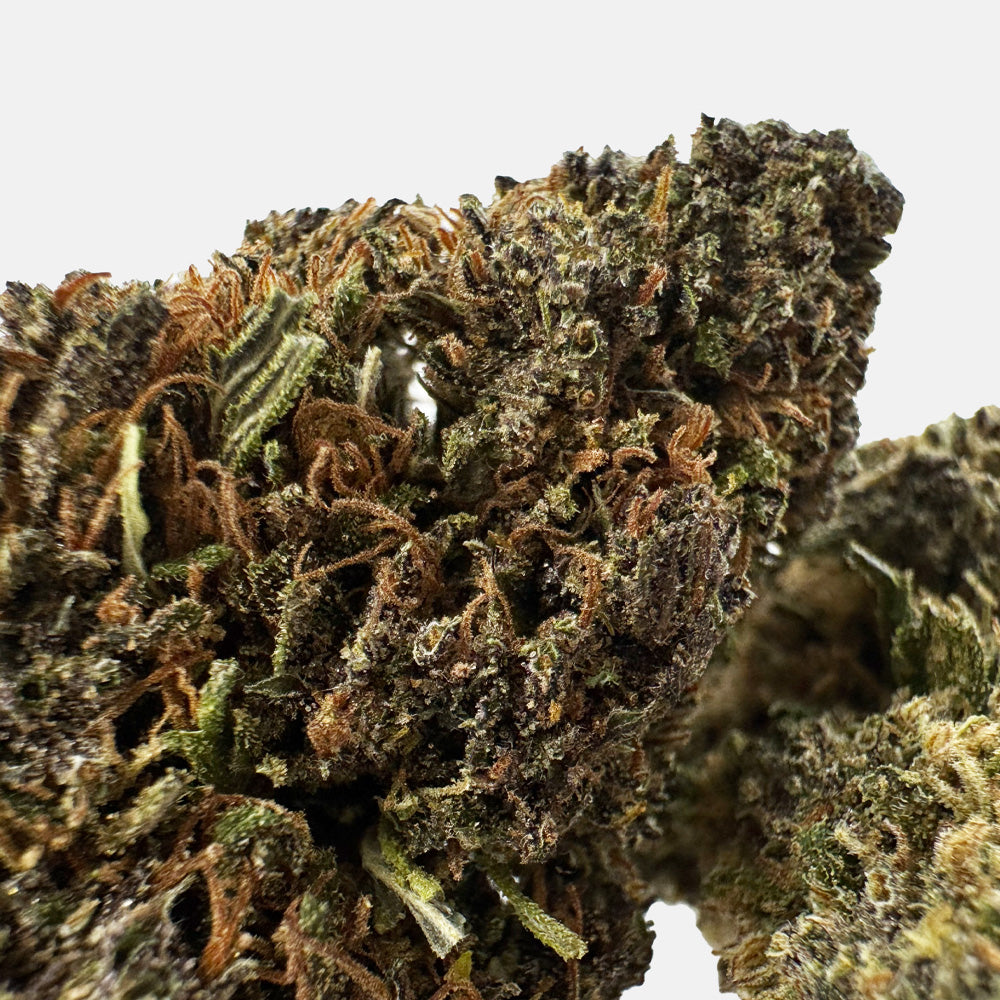 Sapphire Kush - Hybride USA