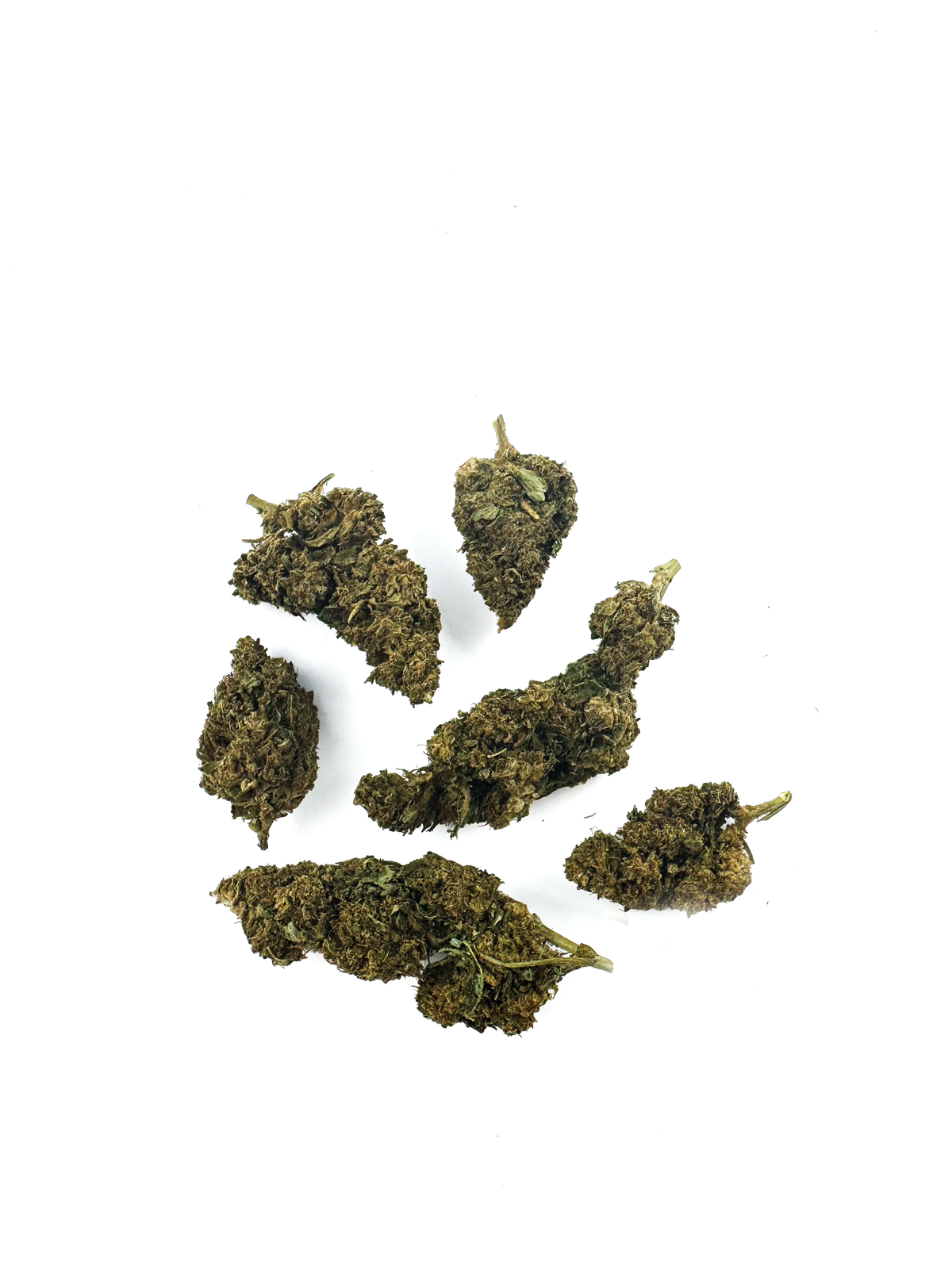 Super Skunk - Greenhouse — photo 3
