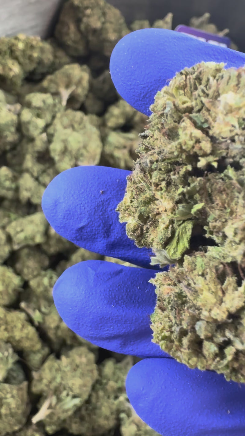 Critical - Hybride USA — vidéo de présentation