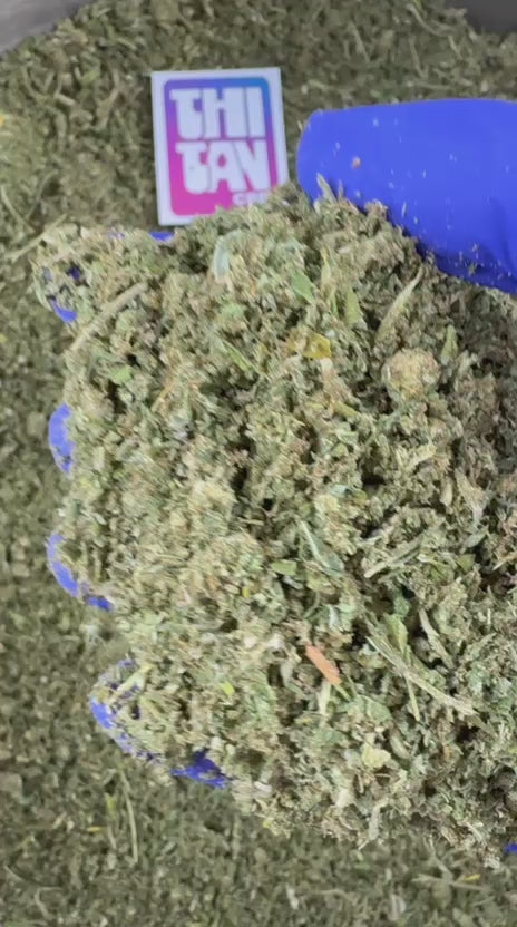 Trim A++ Hybride — vidéo de présentation